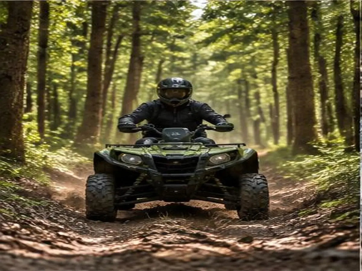 Forest ATV