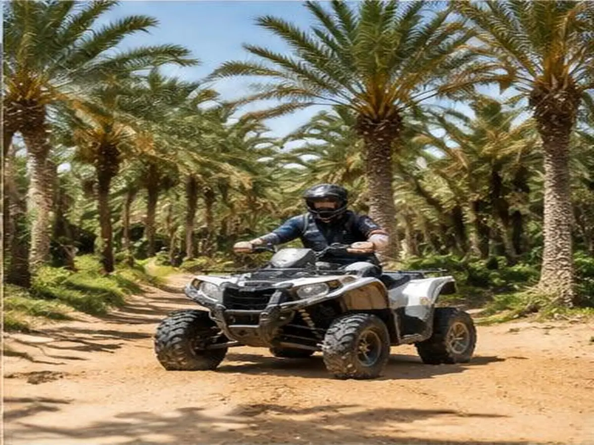 Oasis quad