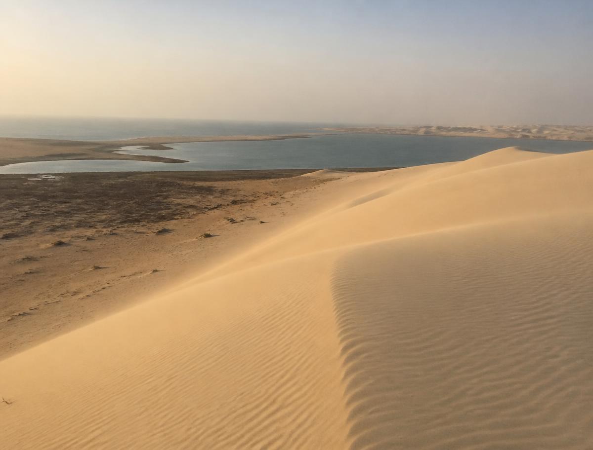 Camel ride destination near Doha, Qatar