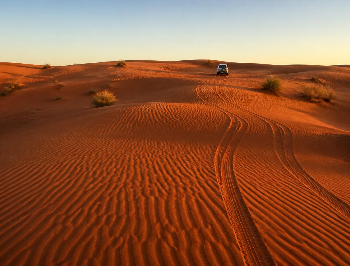 Camel ride destination near Dubai, United Arab Emirates