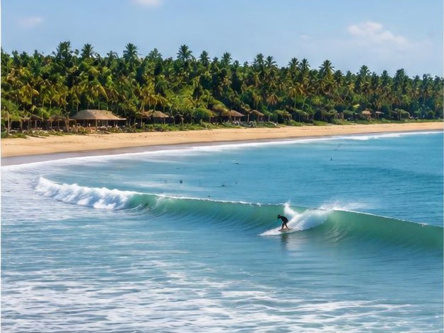 Surf travel in Arugam Bay, Sri Lanka